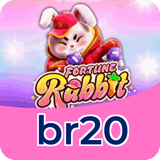 Interface br20