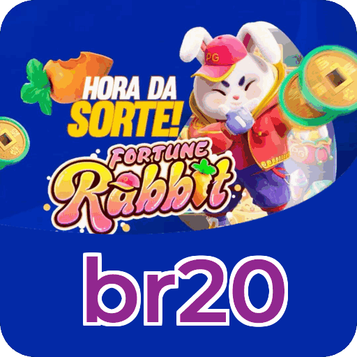 Download PC br20